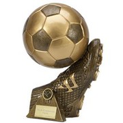 Get the best football trophies from Tower Trophies